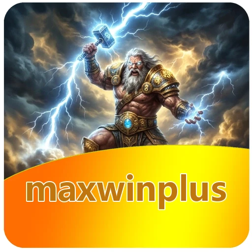 Performa maxwinplus